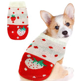 KUTKUT Small Dog Knitted Warm Winter Puppy Kitten Cat Sweater, Cute Strawberry Doggie Sweater for Small Dogs Girls Boys (Red) - kutkutstyle