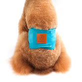 KUTKUT Male Dog Wrap Reusable Diaper | Boy Belly Band Washable Diaper | Physiological Sanitary Pant Curtesy Harassment Pant, Anti Urinary for Small Boy Dogs Cats (Aqua) - kutkutstyle