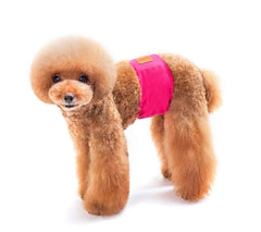 KUTKUT Male Small Dog Reusable Dog Wrap Diaper | Boy Belly Band Washable Diaper | Anti Urinary Physiological Sanitary Pant for Small Dogs Cats (Pink) - kutkutstyle