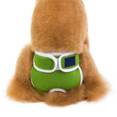 KUTKUT Reusable Pet Cotton Physiological Pant| Washable Sanitary Pet Diaper| Adjustable Menstruation Underwear for Female Dog (Green)-Diapers-kutkutstyle