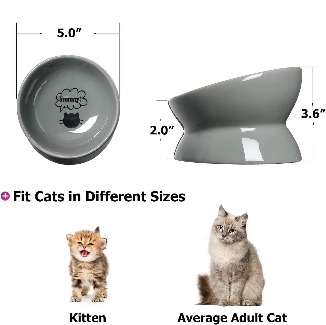 KKUTKUT Ceramic Raised Cat Bowl, Slanted Cat Dish Food or Water Bowls, Elevated Porcelain Pet Feeder Bowl Protect Cat's Spine, Stress Free, Backflow Prevention (Capacity: 150gm) - kutkutstyle
