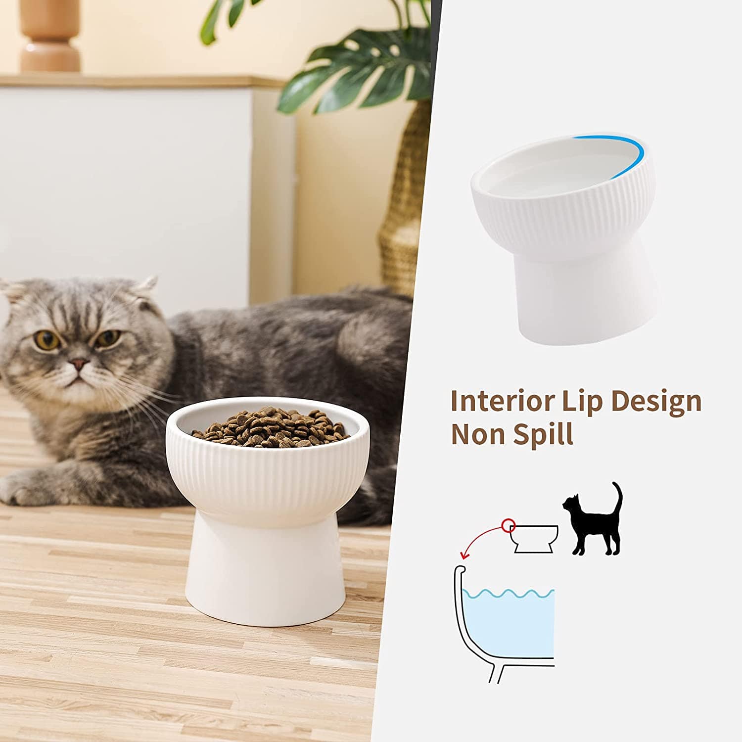 KUTKUT Ceramic Cat Food Or Water Bowl, Raised Cat Feeder Dishes with Stand, Elevated Pet Food Bowl for Cats and Small Dogs, Stress Free Backflow Prevention, Anti Vomiting & Reduce Neck Burden