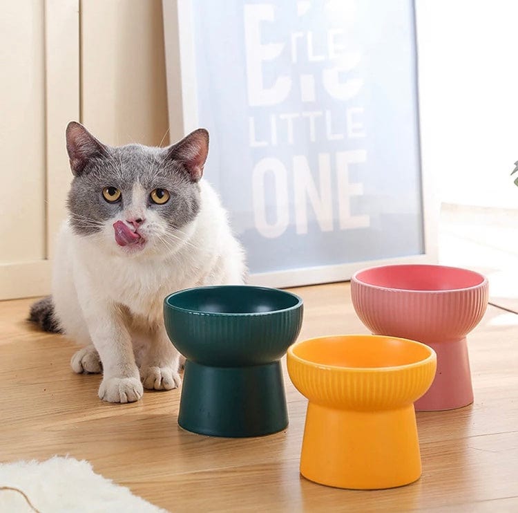 KUTKUT Ceramic Cat Food Or Water Bowl, Raised Cat Feeder Dishes with Stand, Elevated Pet Food Bowl for Cats and Small Dogs, Stress Free Backflow Prevention, Anti Vomiting & Reduce Neck Burden
