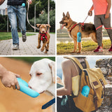 KUTKUT Dog Portable, Leakproof Retractable Water Bottle for Puppy & Small Dogs, Lightweight Pet Water Dispenser for Outdoor Walking,Travel, Food Grade Plastic BPA Free (220 ML)… - kutkutsty