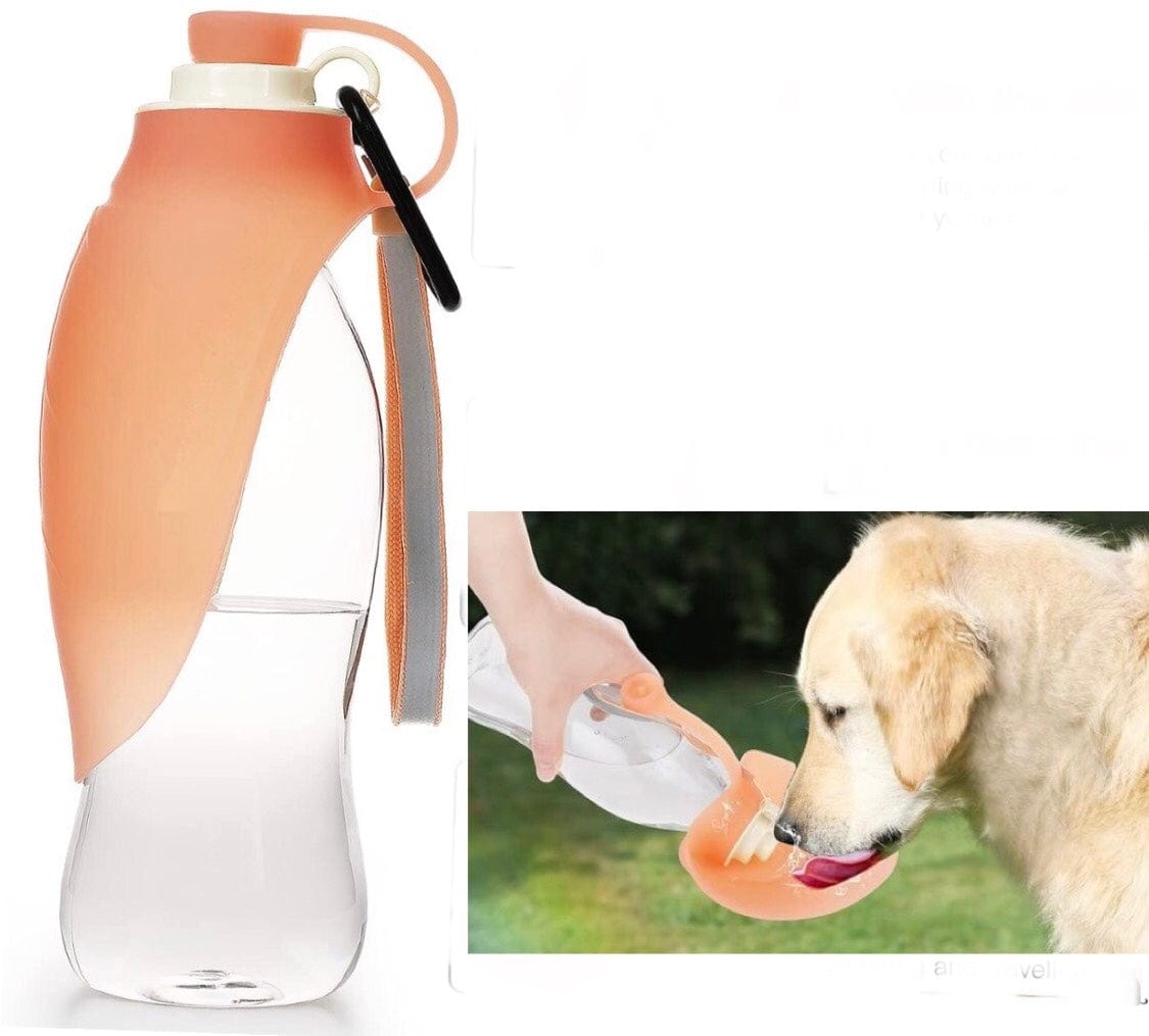 KUTKUT Dog Water Bottle for Walking | Pet Water Dispenser Feeder Container Portable with Drinking Cup Bowl Outdoor Hiking, Travel for Dogs & Cats (580 ml)… - kutkutstyle