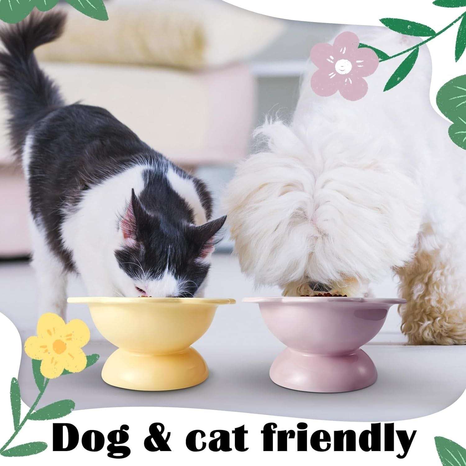 KUTKUT 2Pcs Ceramic Raised Cat Food Bowl, Tilted Flower Shaped Food or Water Bowl for Cats and Small Dogs, Anti Vomiting Pet Feeder Dish Whisker Fatigue Cat Bowl (Capacity: 200ML) - kutkutsty
