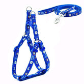 KUTKUT Adjustable| Step in Basic Nylon Harness and Leash for Puppy Outdoor Running Training Walk (Size: S, Adjustable Chest: 31-46cm) - kutkutstyle