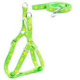 KUTKUT Adjustable Dog Harness Soft Cute Step-in | No-Pull & No-Choke | Small/Medium Dog Girl Boy Harness and Leash Set (Size: M, Adjustable Chest:41-61 cm) - kutkutstyle