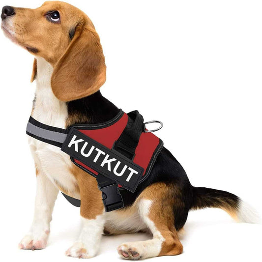 KUTKUT 2022 Dog Vest Harness, No-Pull Pet Harness Adjustable Soft Padded Dog Vest, Reflective No-Choke Pet Oxford Vest with Easy Control Handle for Small Dogs - kutkutstyle