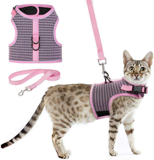 KUTKUT 2022 Newewst Style Breathable Dog Cat Harness and Leash Set Escape Proof - Reflective Vest Harness for Kitten Small Medium Large Dogs with Durable Leash for Outdoor Walking Training - 