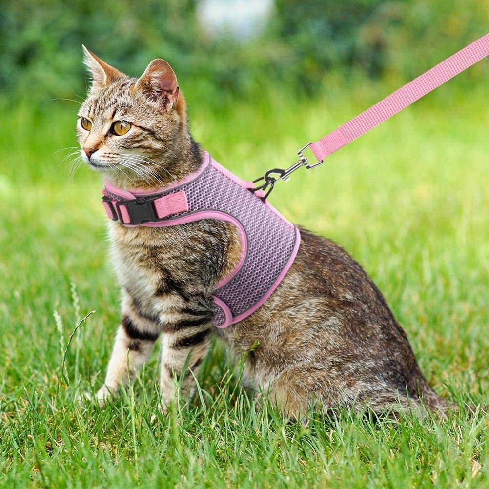 KUTKUT 2022 Newewst Style Breathable Dog Cat Harness and Leash Set Escape Proof - Reflective Vest Harness for Kitten Small Medium Large Dogs with Durable Leash for Outdoor Walking Training - 