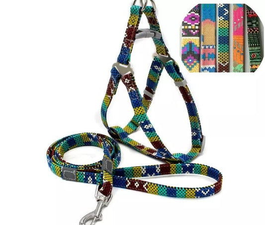 KUTKUT Adjustable & Breathable Harness and Leash Set | No Choke No Pull Canvas Print, Escape-Proof Harness for Small Dogs/Cats - kutkutstyle