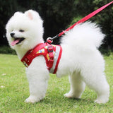 KUTKUT Adjustable Breathable & Reflective Harness and Leash No Pull No Choke | for Small Puppy - kutkutstyle