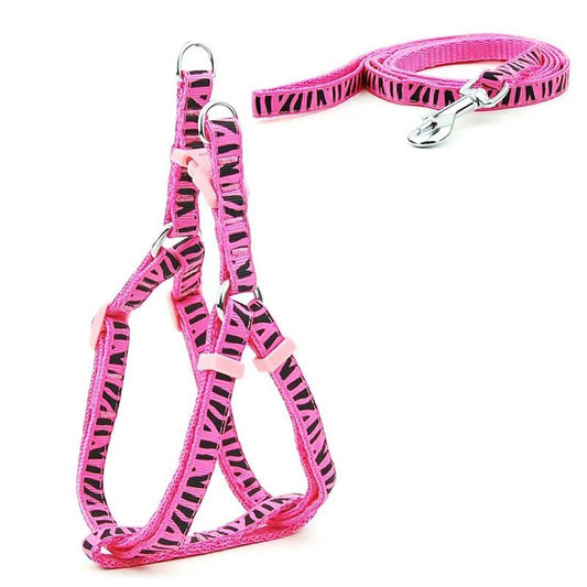 KUTKUT Adjustable Halter Harness and Leash | Zebra Stripe Print Heavy Duty No Pull Pet Back Harness for Puppy - kutkutstyle