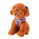 KUTKUT Adjustable No-Pull & No-Choke | Pink Stripes Print Soft Comfortable Breathable Vest Harness and Leash Set for Puppy - kutkutstyle