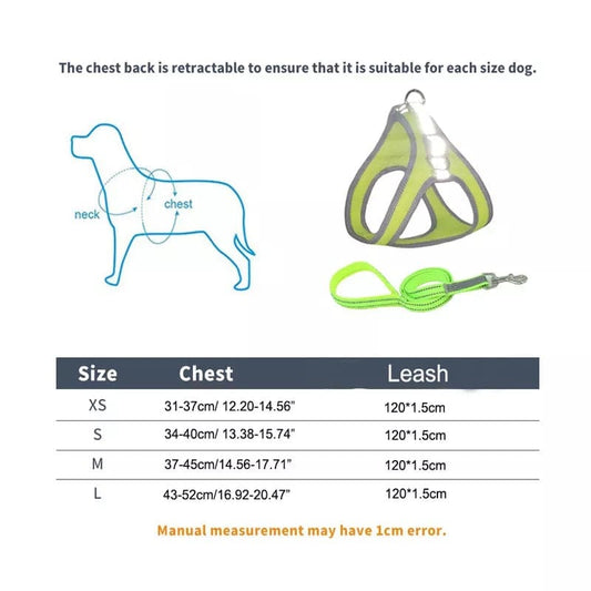 KUTKUT Adjustable Reflective & Breathable | Air Mesh No Pull | Vest Harness and Leash for Small and Medium Dogs and Cats - kutkutstyle