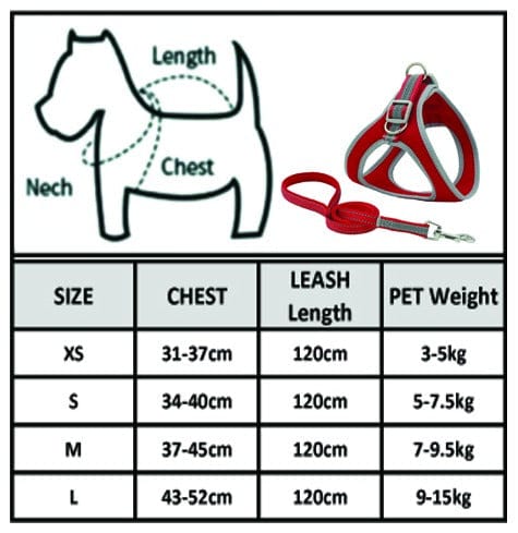 KUTKUT Adjustable, Reflective Breathable Soft Pet Chest Vest Harness and Leash with Air Mesh No Pull for Strap for Small Dogs and Cats - kutkutstyle