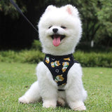 KUTKUT Adjustable, Reflective Harness and Leash No Pull/No Choke, Breathable,for Small Puppy - kutkutstyle