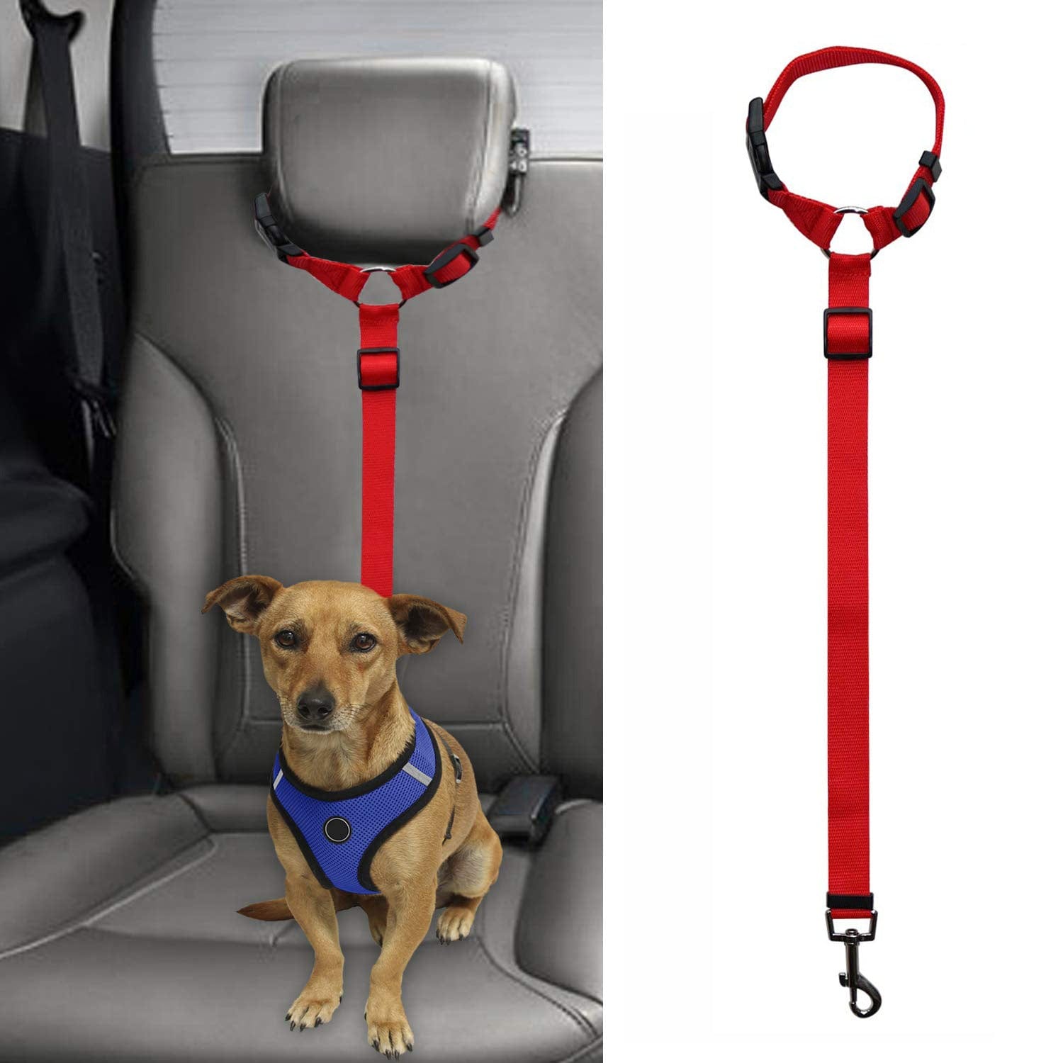 Headrest dog outlet seat belt