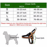 KUTKUT No Pull Heavy Duty Quick Fit Dog Strap Harness with Matching Leash | Adjustable Basic Step in Nylon Halter Harness and Leash for Small Dogs - kutkutstyle