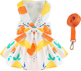 KUTKUT Small Dog Harness Dress and Leash Set Cute Bowknot Puppy Cat Princess Girl Dress Dog Clothes Soft Mesh Straberries Pattern Girl Dog Dress for Shihtzu, Poodle, King Charles - kutkutstyl