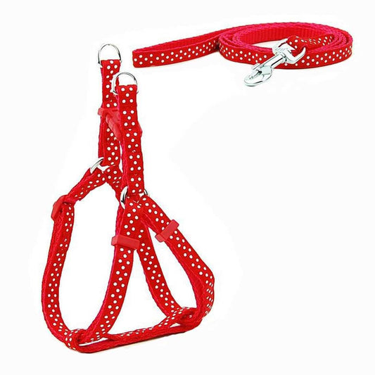 KUTKUT Adjustable | Polka Print Heavy Duty | No Pull Pet Back Clip Halter Harness and Leash for Small- Medium Dogs and Cats (Red, Size: M, Adjustable Chest: 41-61 cm) - kutkutstyle