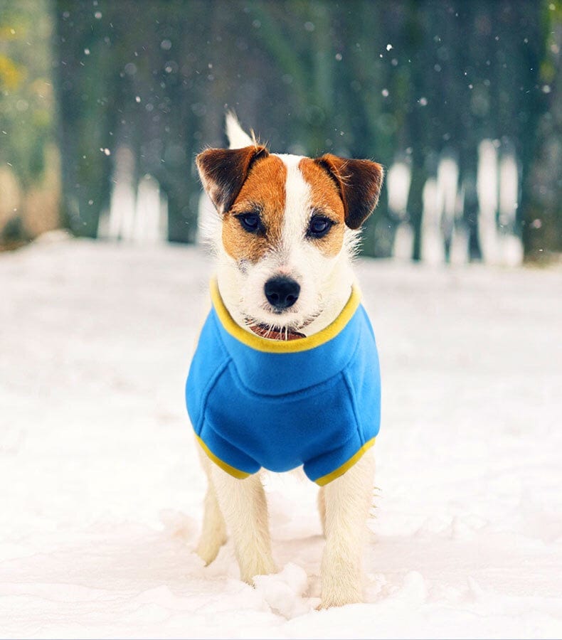 KUTKUT Dog Fleece Jacket | Half Zip Pullover Small Dog Sweater Jacket | Winter Cold Weather Dog Polar Fleece Clothes for Yorkie, Maltese, Chihuahua etc - kutkutstyle