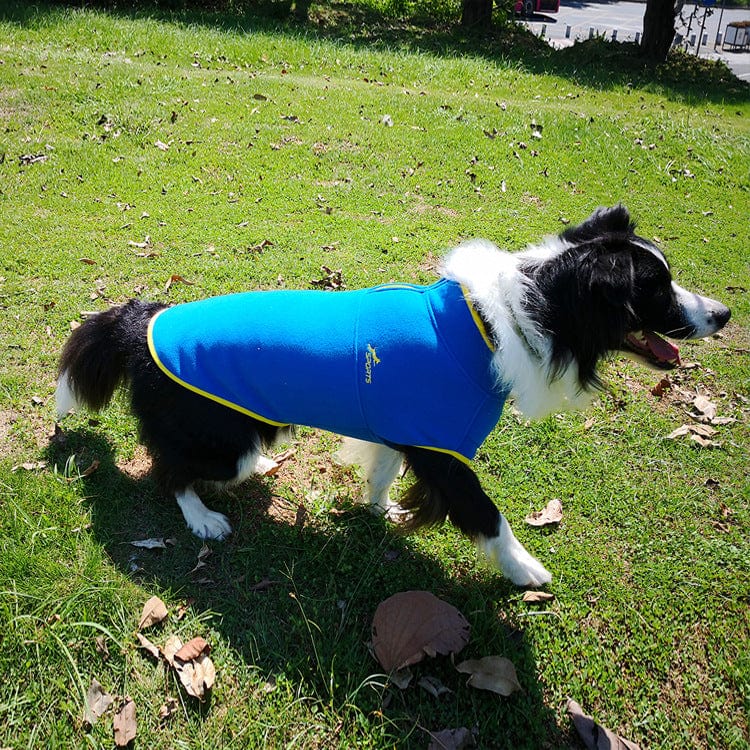 KUTKUT Dog Fleece Jacket | Half Zip Pullover Small Dog Sweater Jacket | Winter Cold Weather Dog Polar Fleece Clothes for Yorkie, Maltese, Chihuahua etc - kutkutstyle