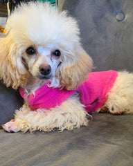 KUTKUT Fleece Lightweight Dog Sweater | Warm Pullover Polar Fleece Dog Jacket with Leash Attachment | Winter Small Dog Coat for Yorkie, Maltese, Chihuahua, Shih Tzu etc. (Pink) - kutkutstyle
