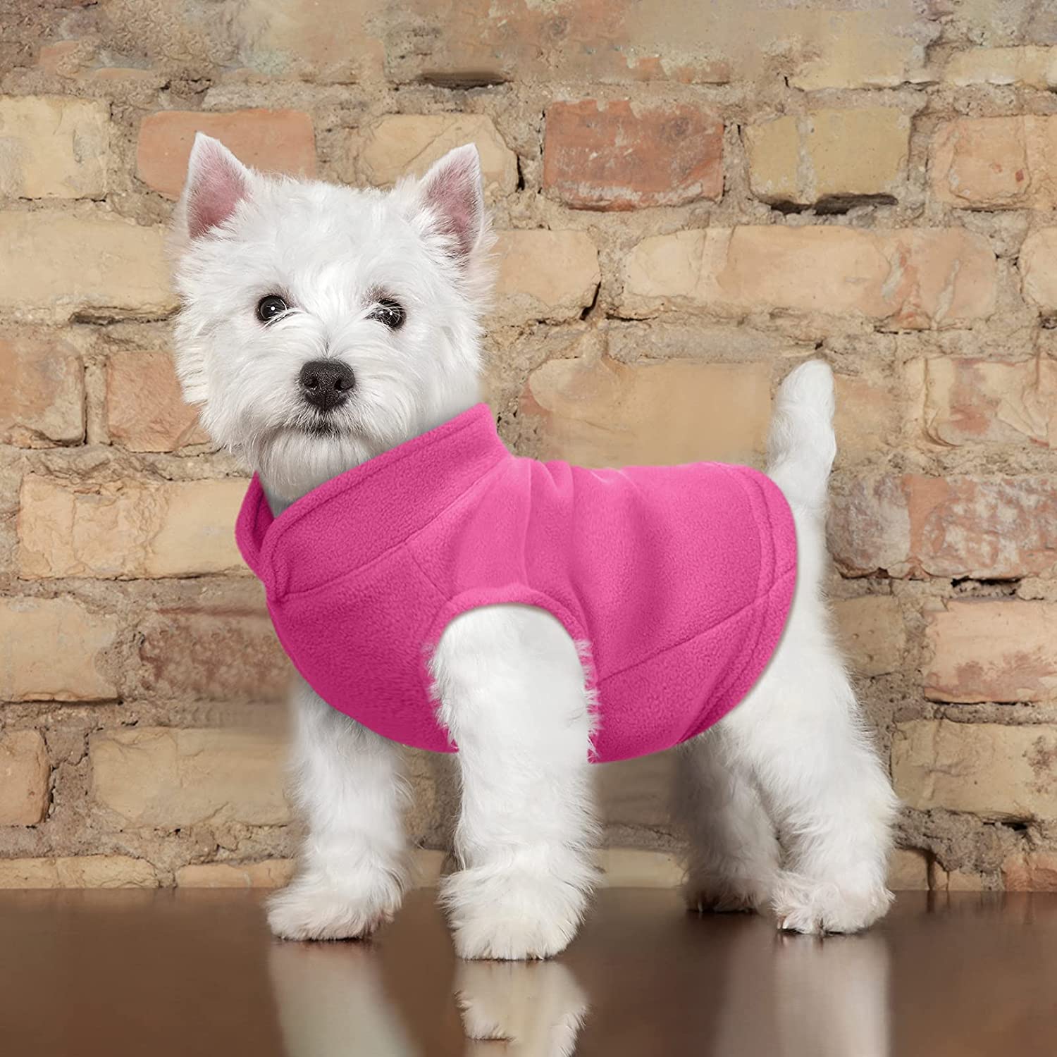 KUTKUT Fleece Vest Dog Sweater - Warm Pullover Fleece Dog Jacket with Leash Attachment - Winter Small Dog Sweater- Cold Weather Dog Clothes for Small Dogs Shih Tzu, Lhasa Apso, King Charles e