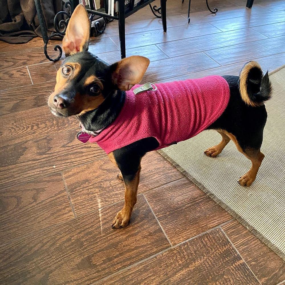 KUTKUT Fleece Vest Dog Sweater - Warm Pullover Fleece Jacket with Leash Attachment - Winter Small Dog Sweater Coat - Cold Weather Dog Clothes for Small Dogs ShishTzu, Lahsa Apso, King Charls