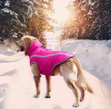 KUTKUT Windproof Warm Dog Winter Jacket| Reflective Cold Weather Coat | Waterproof Polar Fleece Lining Wind Breaker with Leash Hole Pet Warm Clothing For Small, Medium and Large Dogs - kutkut