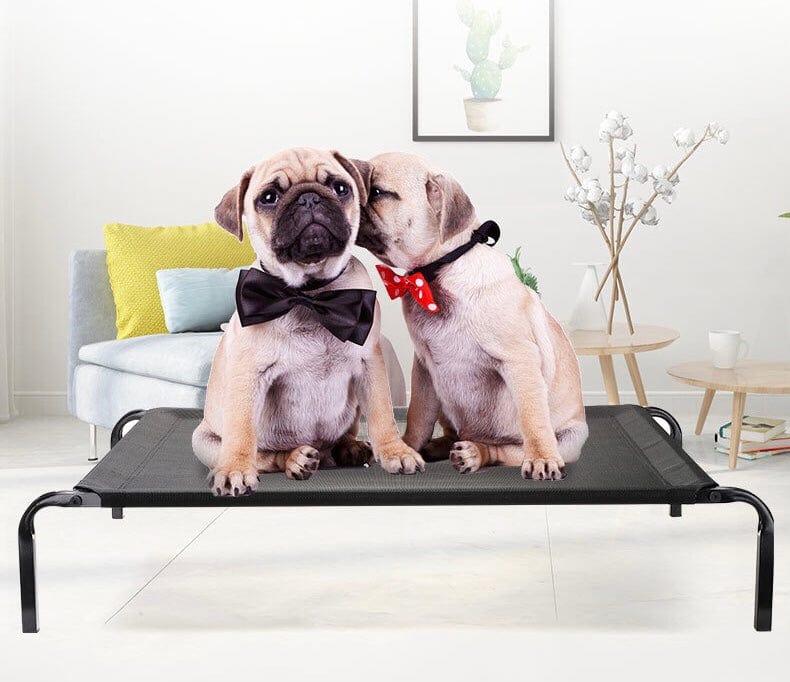 KUTKUT Cooling Elevated Dog Bed, Portable Durable Summer Frame Raised Pet Cot with Washable & Breathable Mesh | Cot Bed for Extra Large Medium Small Dogs for Camping or Beach - kutkutstyle