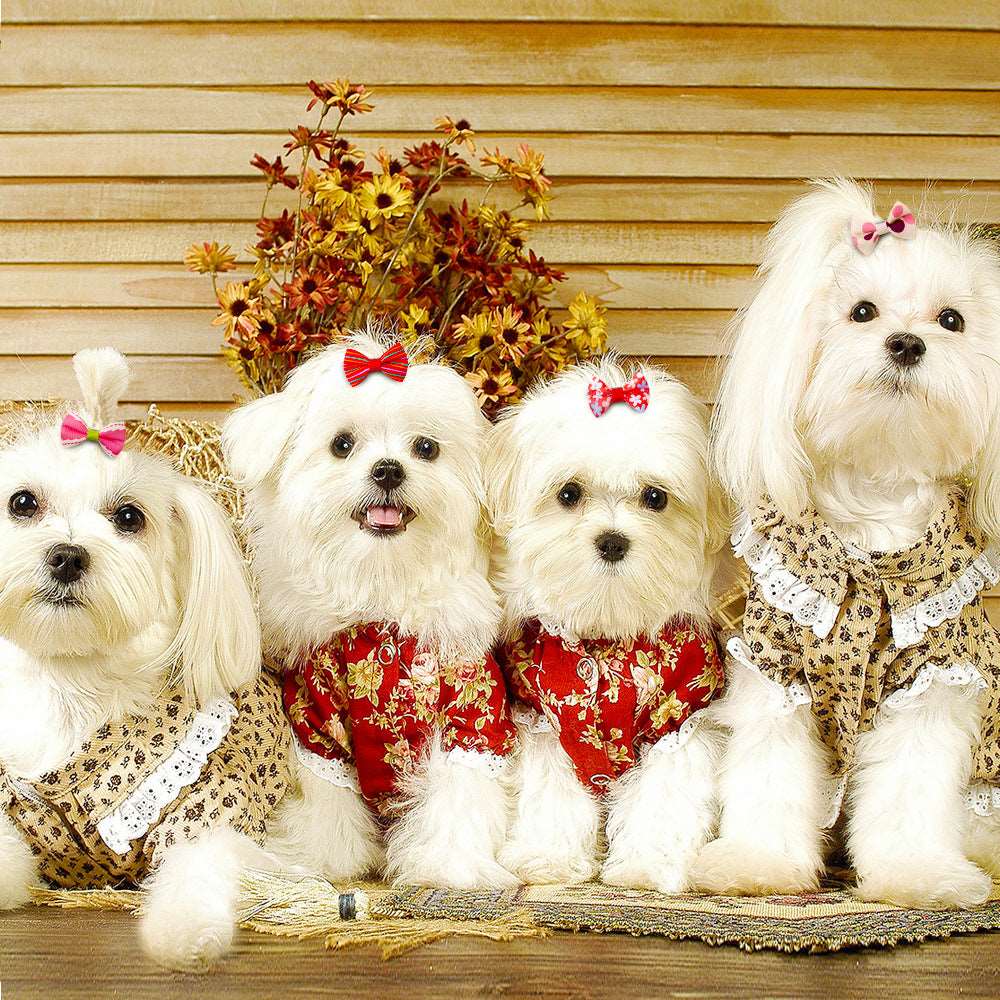 KUTKUT 20Pcs Assorted Handmade Dog Cat Hair Bows Small Dog Cat Hair Clips Cute Puppy Dog Small Bowknot Hair Bows with Metal Clips Handmade Hair Grooming Clips for Poodle Maltese ShihTzu - kut