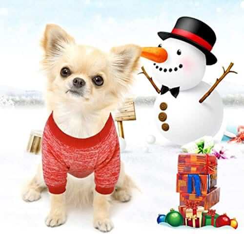 KUTKUT 2 Pack Small Dog Cat Warm Pullover - Pet Dog Classic Knitwear Sweater Soft Thickening Warm Pup Dogs Shirt Winter Puppy Kitten Sweater for Maltese, Shihtzu, Pekingese etc - kutkutstyle
