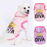 KUTKUT 2Pcs Polycotton Fleece Small Girl Dog & Cat Hoodie, Casual Sports Hoodie With Cap for Pekingese, Toy Poodle, ShihTzu, Bichon Frise etc & Cats, Winter Sweatshirt Warm Hoodie For Small D