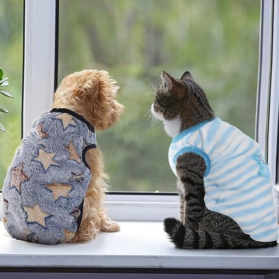KUTKUT 2Pcs Warm Velvet Sweater for Small Dog & Cat Boy Girl | Winter Fleece Pullover for Shihtzu, Papillon, Pekingese, Cats Male and Female - kutkutstyle