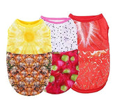 KUTKUT Combo of 3 Summer Clothes for Small Dogs, Fruits Pattern Mesh Vest Sleeveless Shirt for Shihtzu, Maltese, Bichon, Papillon - kutkutstyle