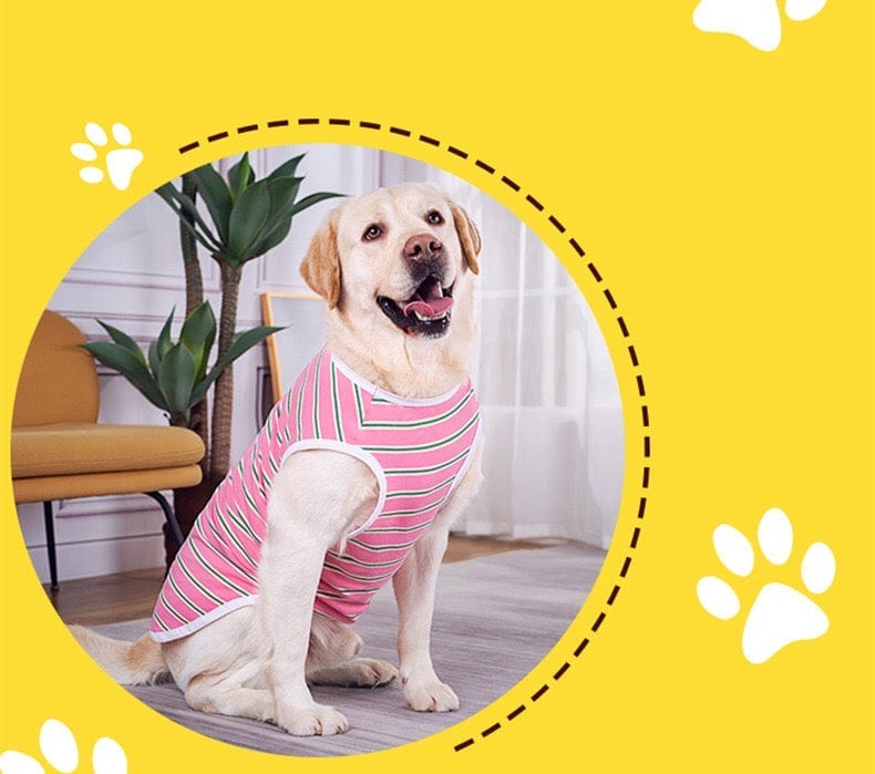 KUTKUT Cotton Striped Dog Shirts for Medium/Large Dogs | Breathable Stretchy Fashion Big Dogs Clothes for Beagle, Corgi, Husky, Labarador, Golden Retriver, Samoyed etc - kutkutstyle
