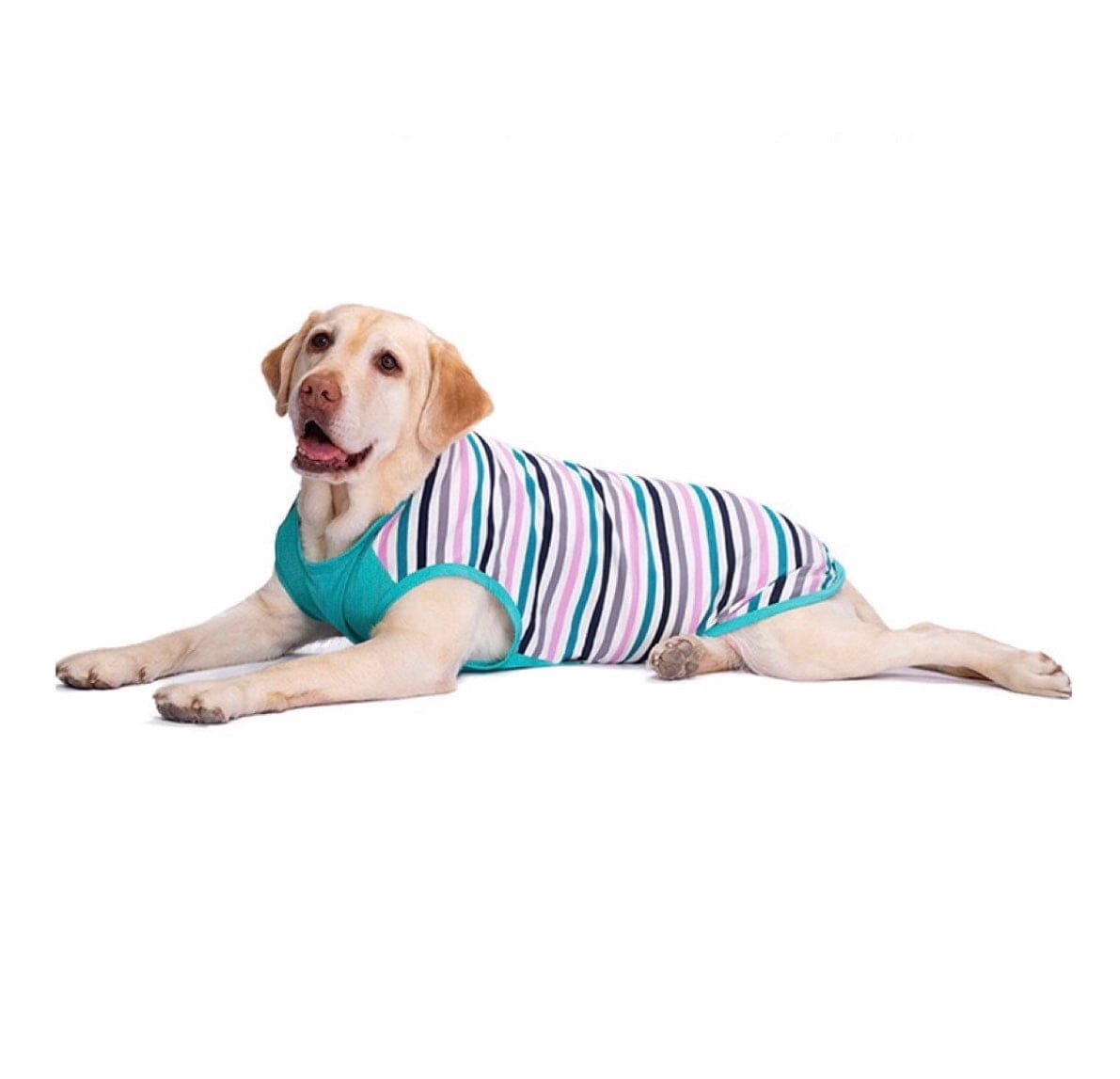 KUTKUT Cotton Striped Dog Shirts for Medium/Large Dogs | Breathable Stretchy Fashion Big Dogs Clothes for Beagle, Corgi, Husky, Labarador, Golden Retriver, Samoyed etc - kutkutstyle