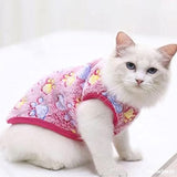 KUTKUT Pack of 2Pcs Small Dogs Cat Warm Velvet Sweater, Cute Paw & Rainbow Print Fashion Soft Flannel Winter Shirt for Shihtzu, Pug, Papillon, Cats etc-T-Shirt-kutkutstyle