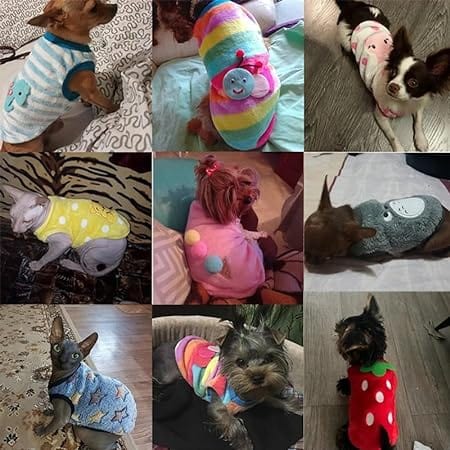 KUTKUT Pack of 2Pcs Warm Velvet Sweater for Small Dog & Cat Boy Girl | Winter Fleece Pullover for Shihtzu, Papillon, Pekingese, Cats Male and Female-T-Shirt-kutkutstyle