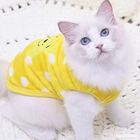 kutkutstyle T-Shirt KUTKUT Set of 2 Small Dog & Cat Tank Tops for Puppy Boy Girl | Winter Warm Cute Clothes Sweaters for Yorkie, Shih Tzu, Maltese Male Female