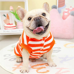 KUTKUT Velvet Fleece Dog Shirt|Stripes Pattern Button Closure Warm Sweatshirt for Small Dogs Cats Boy Girl|Winter Thermal Jammie Clothes for Puppy French Bulldog,Pug - kutkutstyle