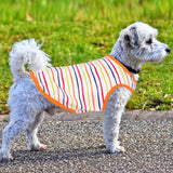 KUTKUT Drooling Stripes Print T-Shirt for Small Dogs | Breathable Cotton Sleeveless Shirt for ShishTzu, Maltese, Pappilon Toy Poodle etc (Size: L, Chest Girth 45cm, Back Length 35cm) - kutkut