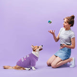 KUTKUT Small Dog & Cat Cotton T Shirt | Breathable I Give Free Kisses Printed Half Sleeve T Shirt for Small Dogs Maltese, Papillon, Shihtzu, Cats(Purple, Size: L, Chest Girth 45cm, Back Lengt