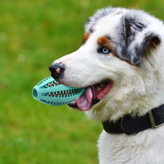 KUTKUT Best Dog Natural Rubber Teething Toy Rugby Ball Durable Dog IQ Puzzle Chew Toys for Medium & Large Dog Teeth Cleaning/Chewing/Playing -11cm - kutkutstyle