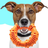 KUTKUT Dog Toy for Strong Chewers, Chew Toy for Dogs Ring, Dog Chew Toy Rubber Dog Toy Chew Ring Dog Rubber Indestructible Chew Toy Dog Dental Care Toy - Fun to Chew, Chase and Fetch - kutkut