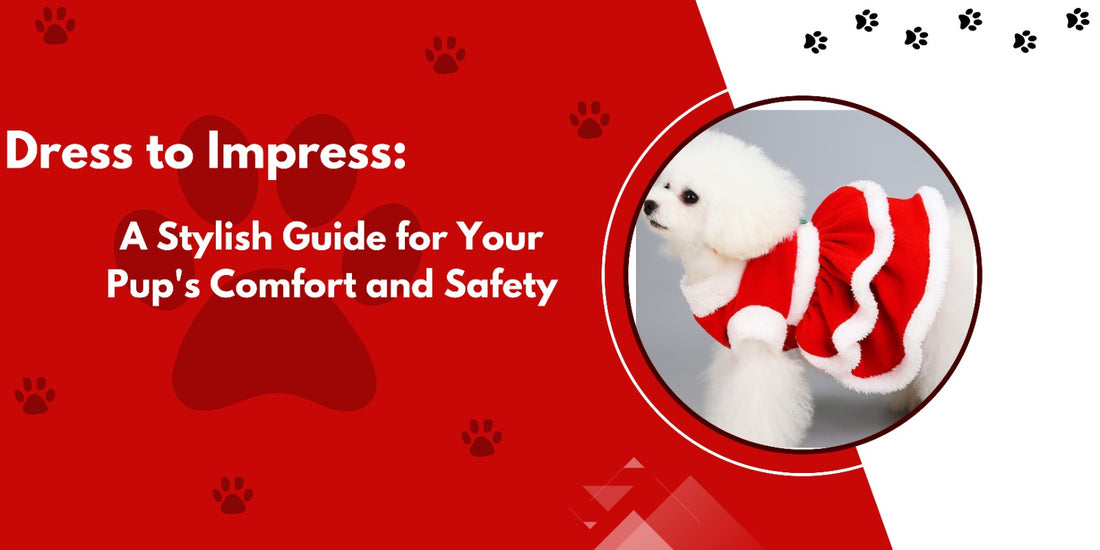 Dress to Impress: A Stylish Guide for Your Pup's Comfort and Safety
