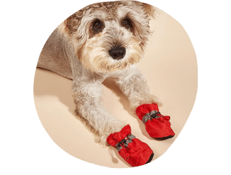 KUTKUT 2Pcs Turtleneck Dog Sweater for Small Dog Cat Girl, Fall Dog Sweater Dress with Pocket D-Ring, Puppy Sweater Fleece Dog Dress with Harness, Dog Dress Pet Clothes-Frock-kutkutstyle